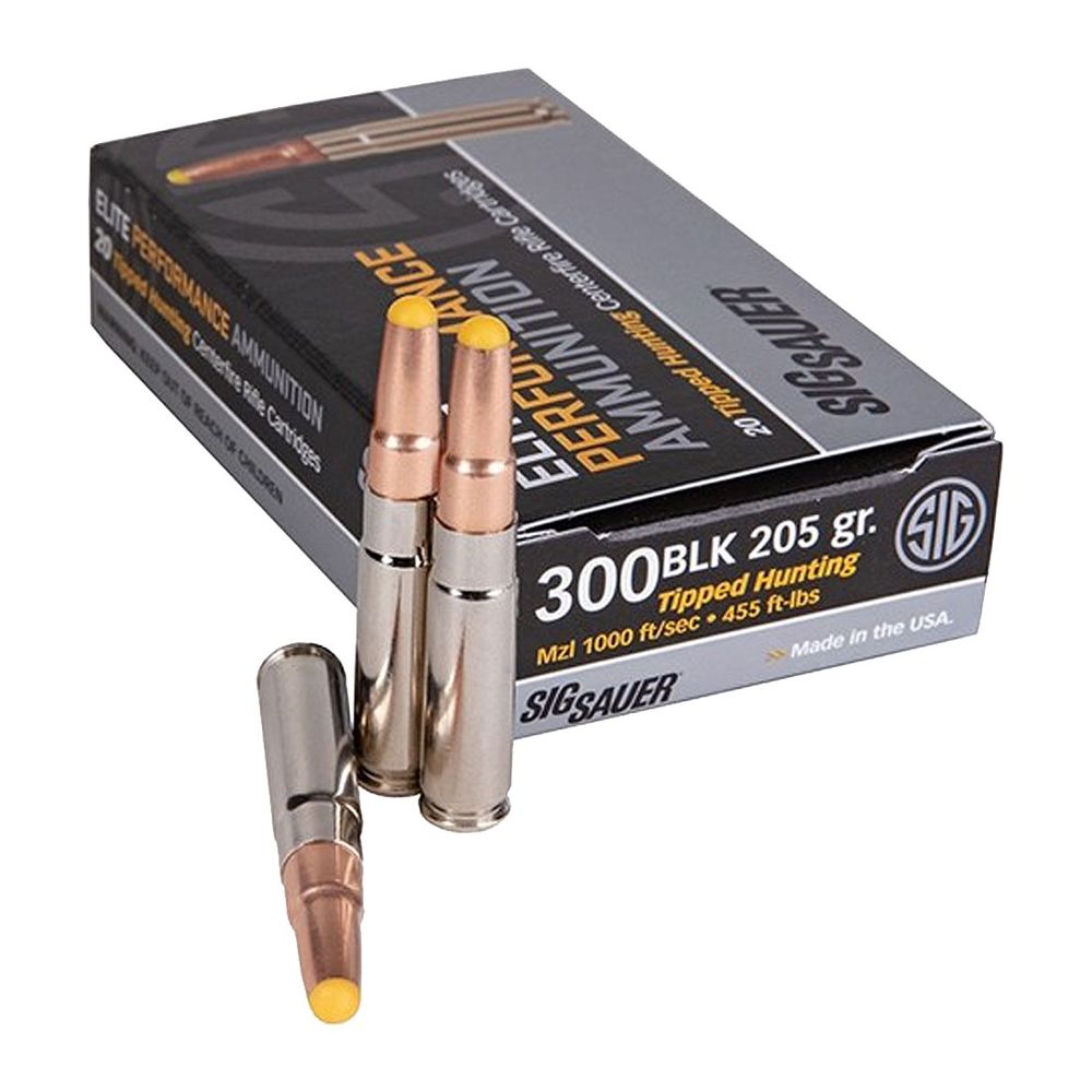 300 blackout subsonic ammo personal defense